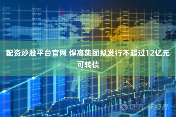 配资炒股平台官网 悍高集团拟发行不超过12亿元可转债